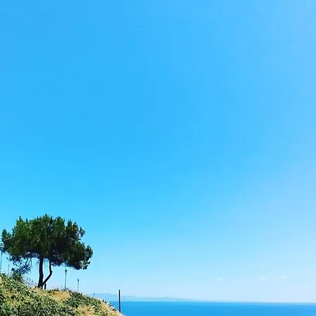 Dream Sea View 아피토스